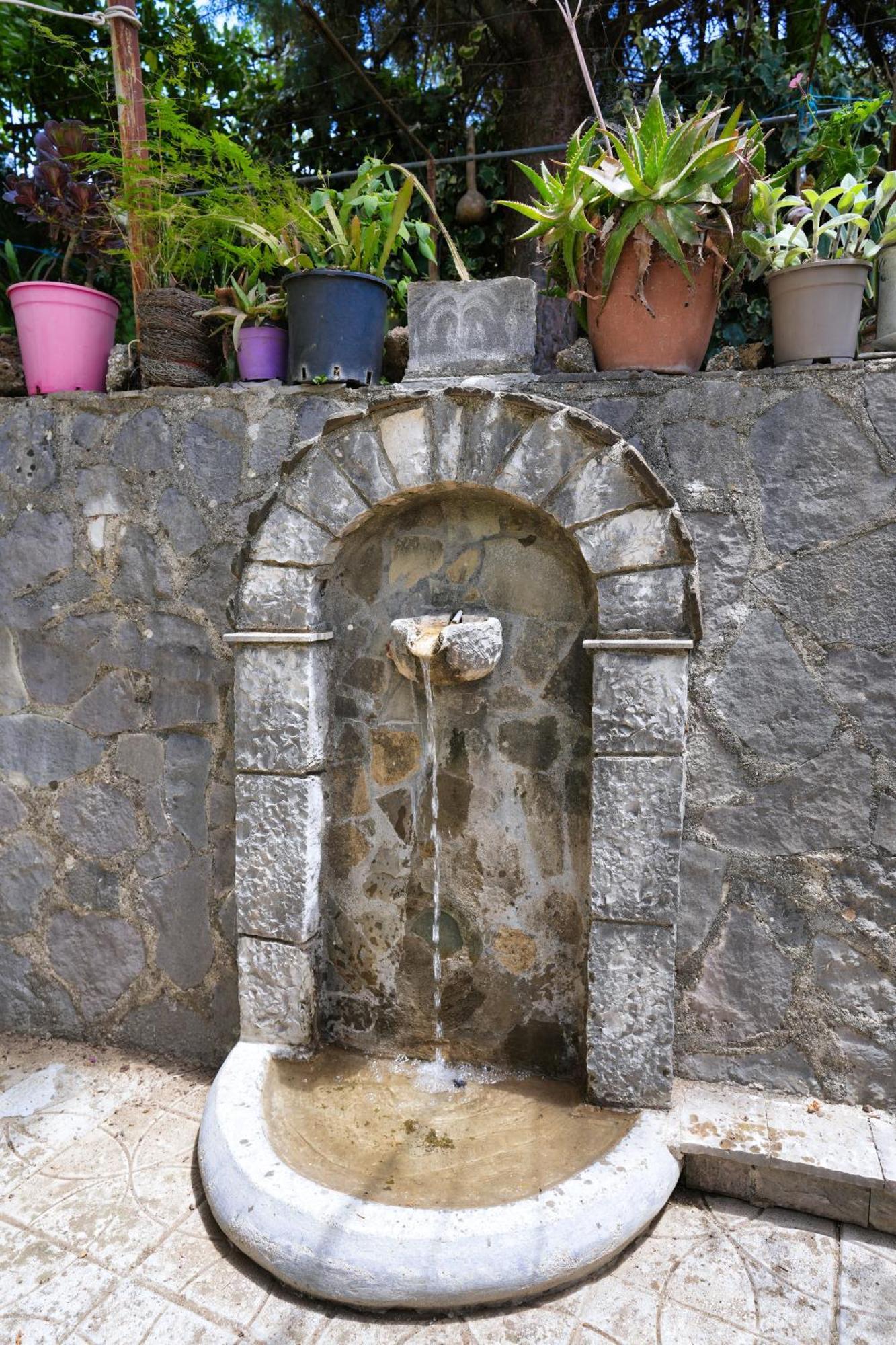 Vila Banushi Gjirokastër 외부 사진
