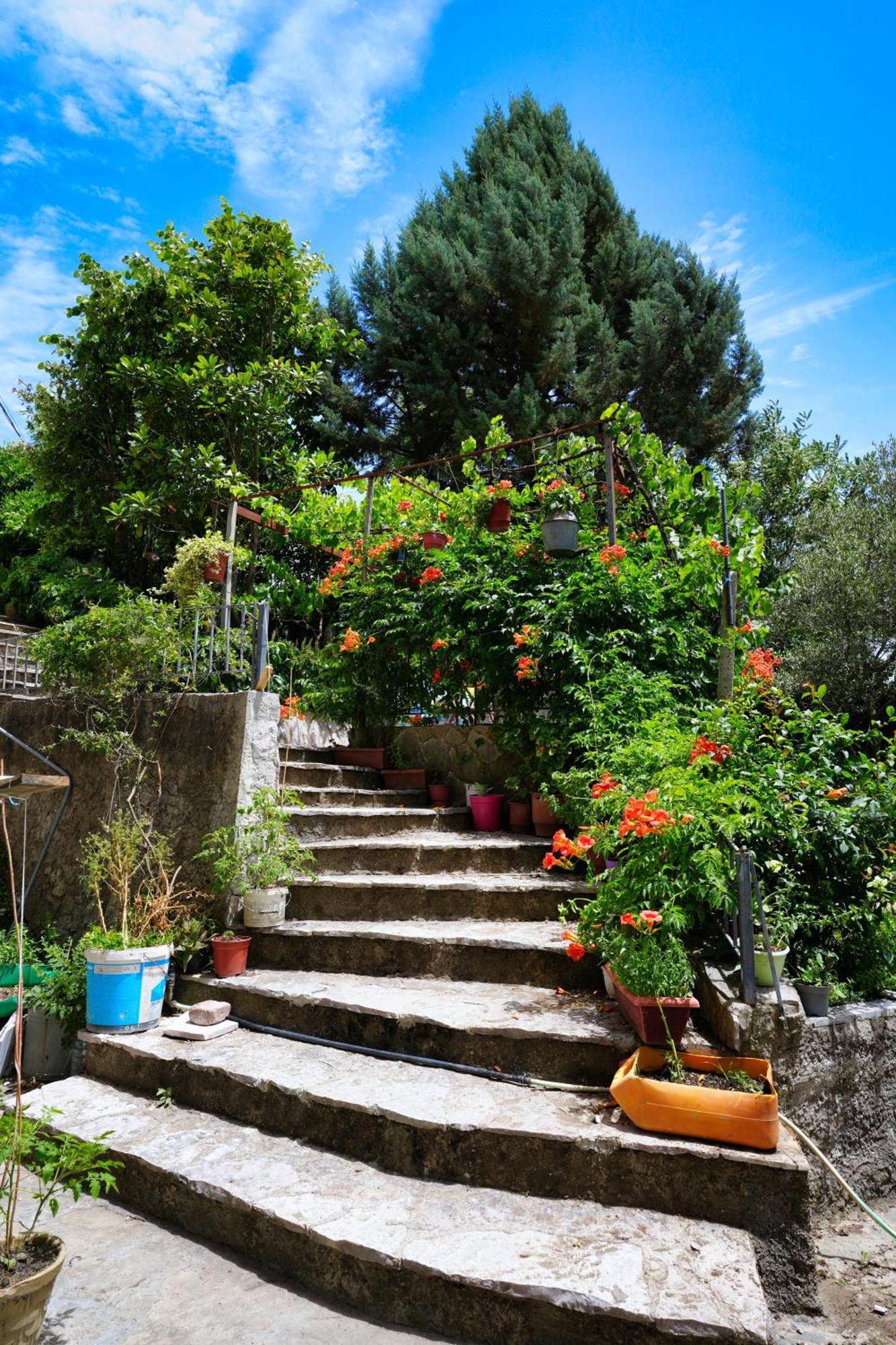 Vila Banushi Gjirokastër 외부 사진